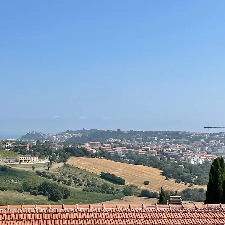 Pinocchio Posatora Torrette * Ancona