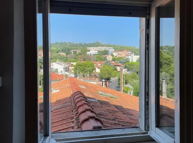 Pinocchio Posatora Torrette